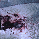 Illustration for article titled Watch the Surprisingly Creepy Process of Making Blood Red Paper